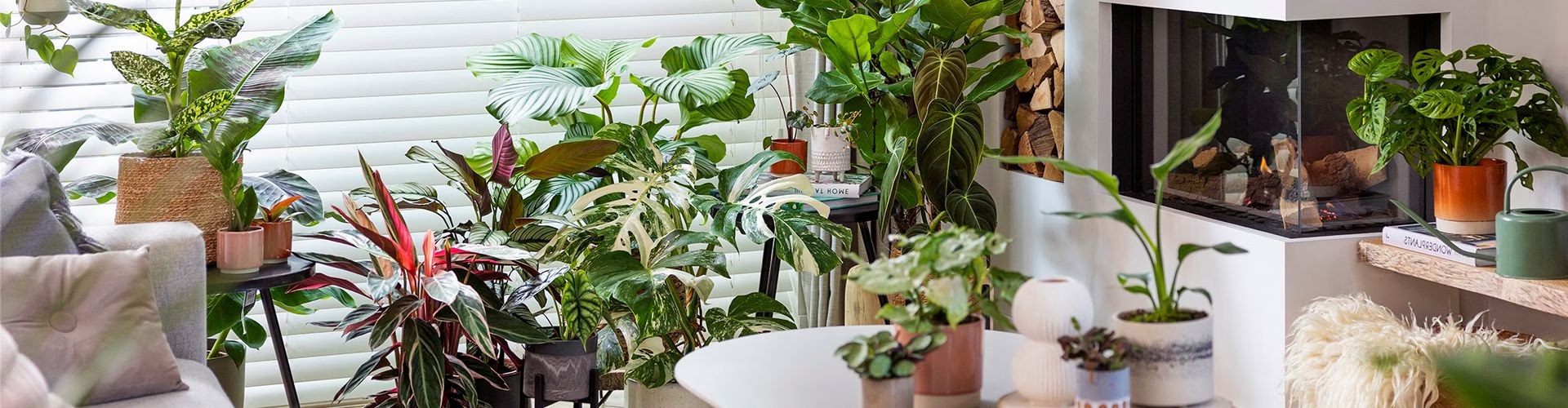 Gardening plants and tools